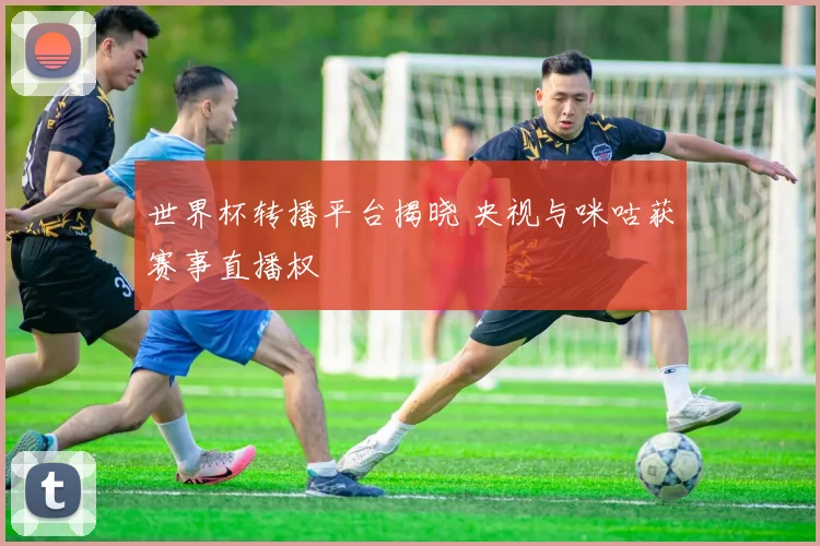 世界杯转播平台揭晓 央视与咪咕获赛事直播权