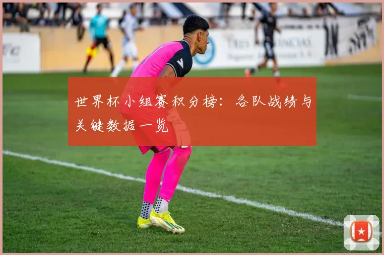 世界杯小组赛积分榜:各队战绩与关键数据一览