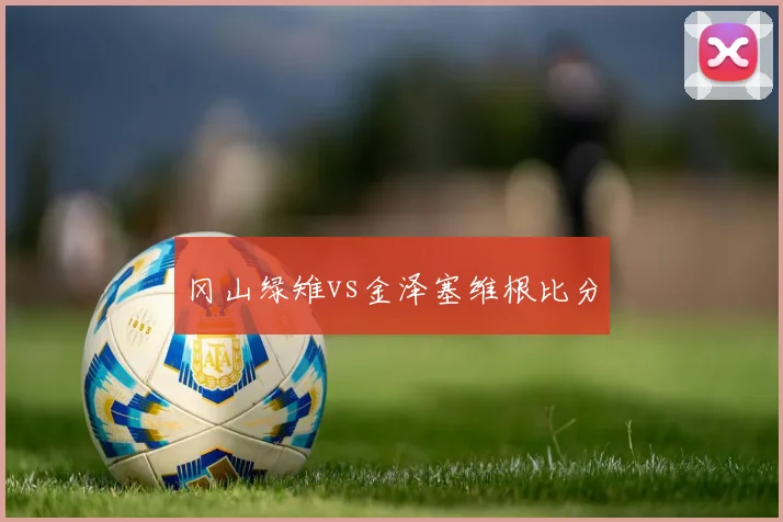 冈山绿雉vs金泽塞维根比分