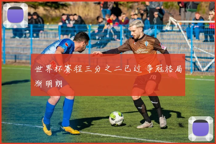 世界杯赛程三分之二已过 争冠格局渐明朗