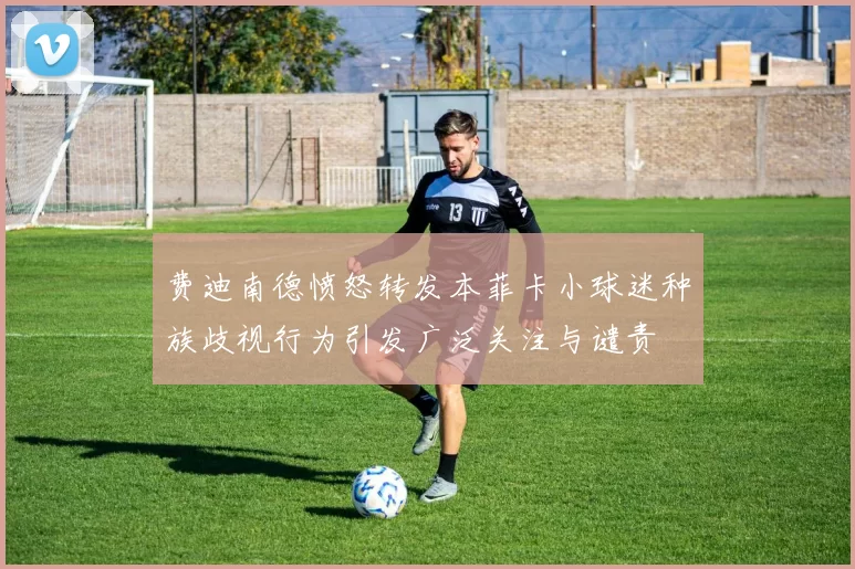 费迪南德愤怒转发本菲卡小球迷种族歧视行为引发广泛关注与谴责