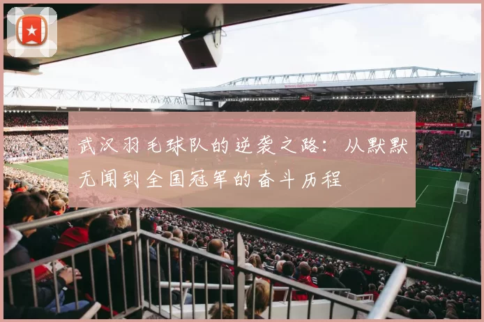 武汉羽毛球队的逆袭之路：从默默无闻到全国冠军的奋斗历程