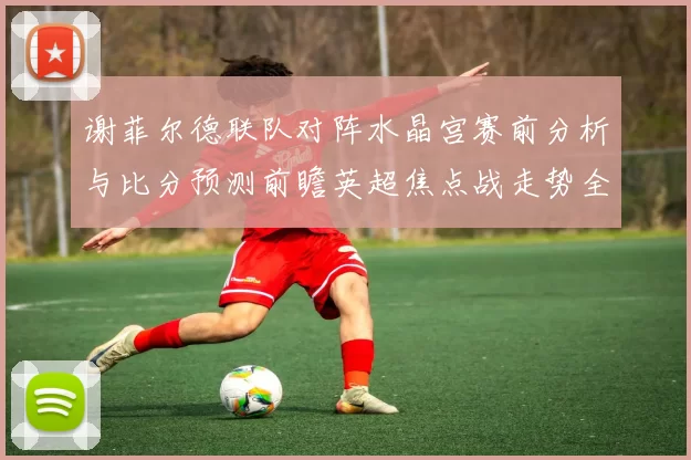 谢菲尔德联队对阵水晶宫赛前分析与比分预测前瞻英超焦点战走势全面解读