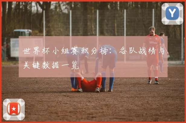 世界杯小组赛积分榜：各队战绩与关键数据一览
