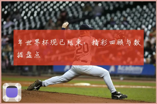 年世界杯现已结束,精彩回顾与数据盘点