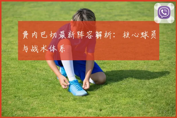 费内巴切最新阵容解析：核心球员与战术体系