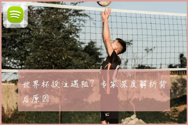 世界杯投注遇阻?专家深度解析背后原因
