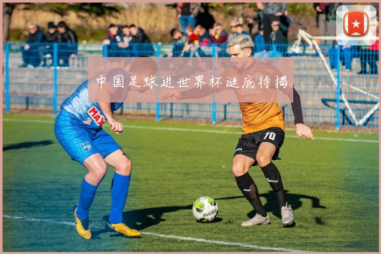 中国足球进世界杯谜底待揭