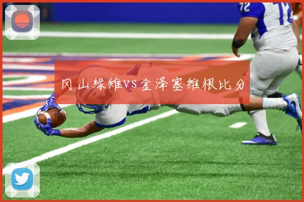 冈山绿雉vs金泽塞维根比分