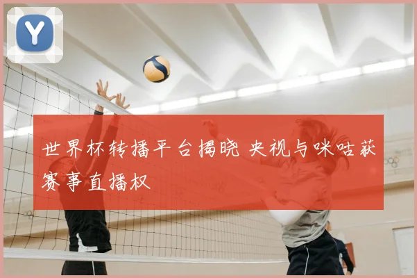 世界杯转播平台揭晓 央视与咪咕获赛事直播权