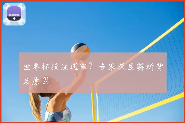 世界杯投注遇阻？专家深度解析背后原因